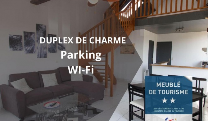 Duplex de charmes n°1 Auxerre.