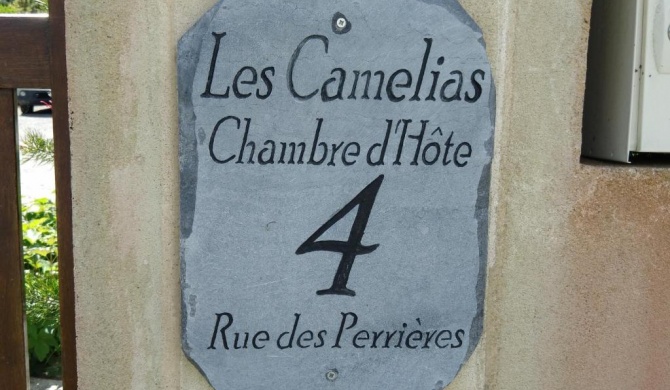 Les Camelias